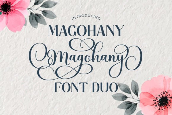 Magohany Duo: Elevating Your Creative Projects