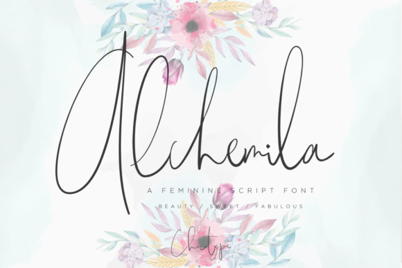 Slip Into Sophistication: Mastering the Alchemila Script